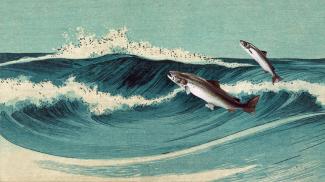 Images de poissons sautant hors de l'eau, superposées sur une illustration de vagues.