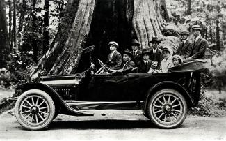 Black & white photo of Japanese Canadians dressed formally with small dog in car. Cedar tree trunk dominates background.
