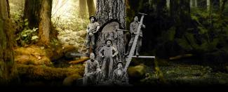 Black & white photo of five Japanese Canadian male loggers standing around a tree they are felling, one holding long saw.