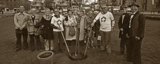 Black & white group photo of Japanese Canadians planting a tree outdoors in Oppenheimer Park, Vancouver.